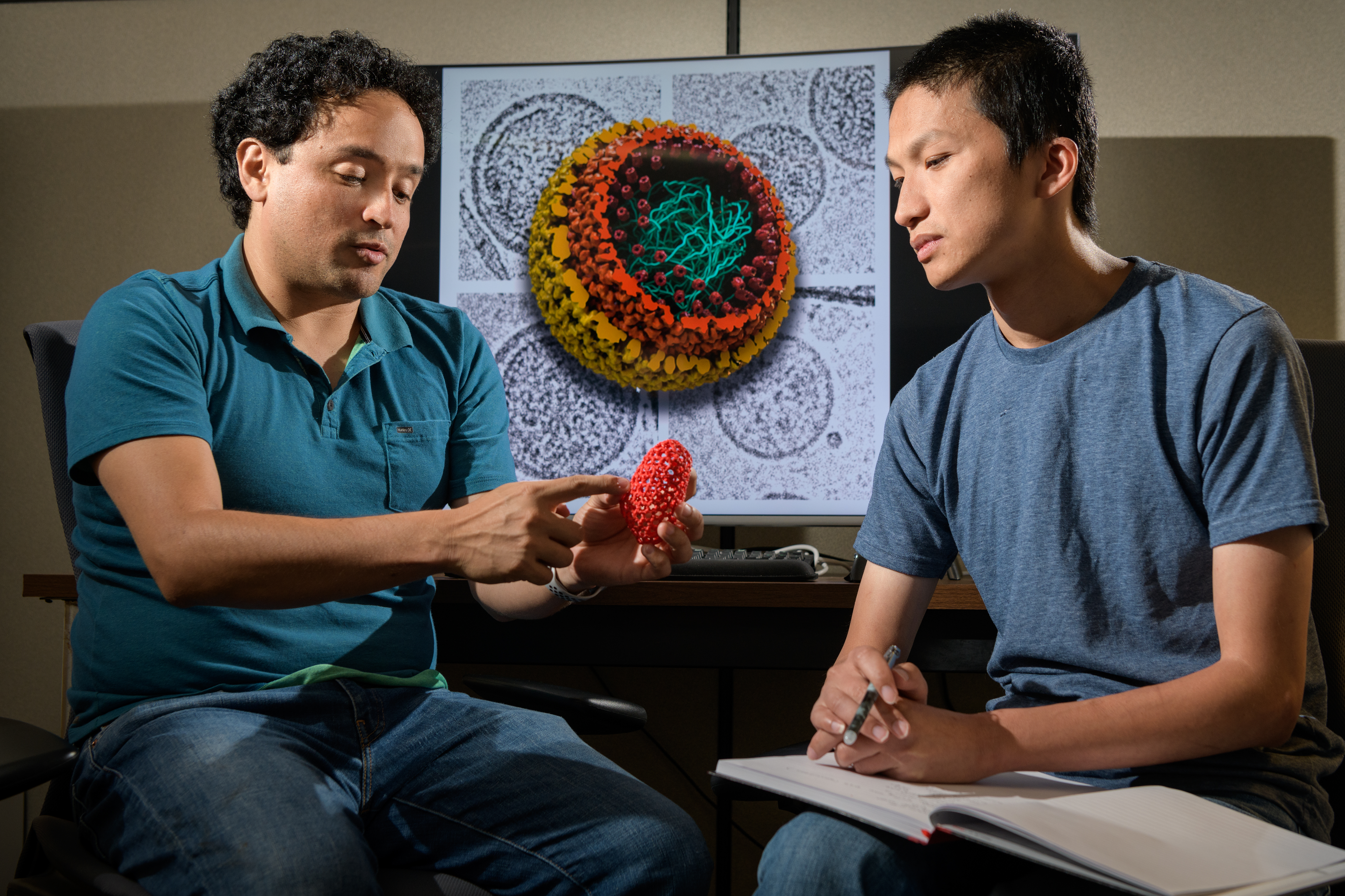 Faculty member shows graduate student model of cell. 